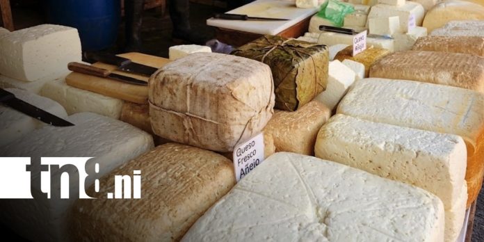 Foto: Queso y otros productos de la canasta básica / TN8
