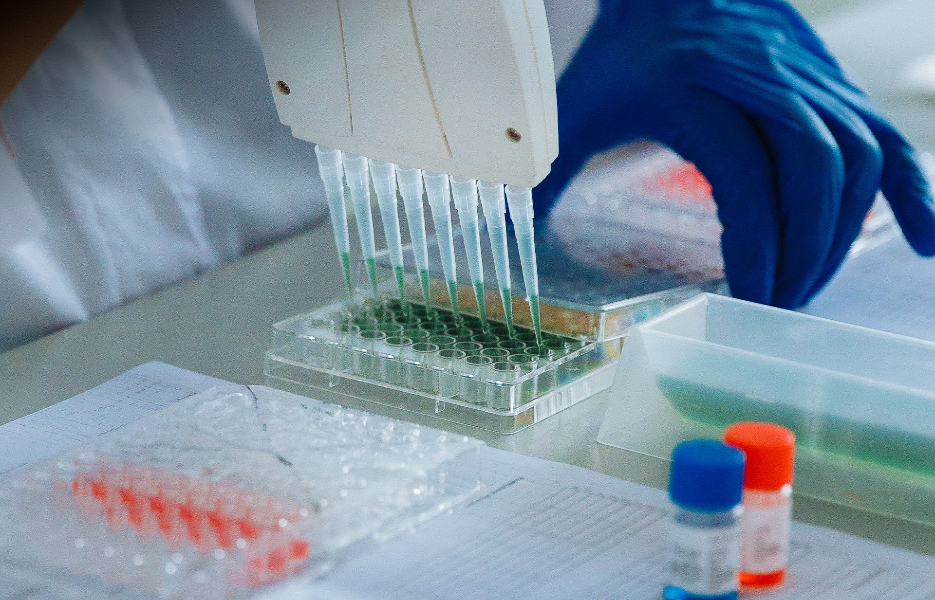 Foto: Rusia apuesta por un medicamento cubano para tratar tumores cancerosos/ Cortesía