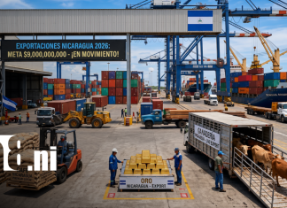 Nicaragua proyecta cerrar 2026 con exportaciones récord de US$9,000 millones Foto: Exportaciones en Nicaragua siguen en aumento