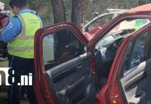 Hombre muere tras estrellarse contra un árbol en la Pista Suburbana de Managua Foto: Mortal accidente de tránsito en la Pista Suburbana, Managua / TN8