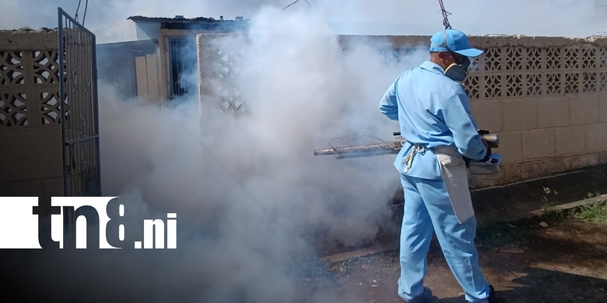 Foto: Fumigación y abatización por Managua / TN8
