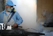 Brigadas recorren Villa Venezuela, Managua, en jornada para combatir al mosquito Foto: Fumigación y abatización por Managua / TN8