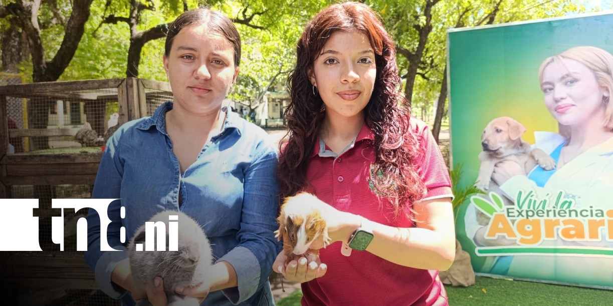 Foto: Innovación y tecnología marcan Congreso Interuniversitario de Zootecnia en Nicaragua / TN8