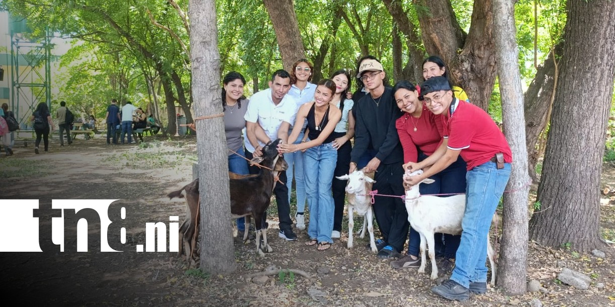 Foto: Innovación y tecnología marcan Congreso Interuniversitario de Zootecnia en Nicaragua / TN8